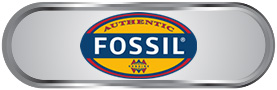     FOSSIL